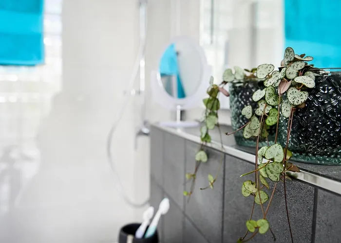 Roemer-apartment Im Herenhaus Rheinblick דירה